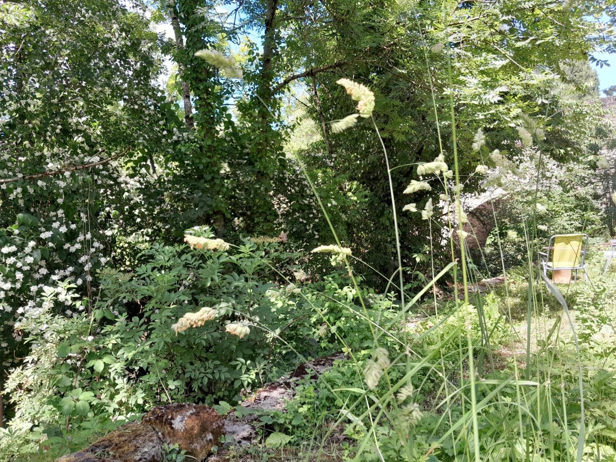 Appartement Privatif En Bord De Riviere Figeac Eksteriør bilde